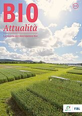 Copertina di Bioattualità 8|24: L’esperimento DOK con diverse colture/sistemi colturali affiancati.