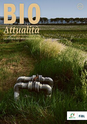 Copertina di Bioattualità 6|24: Un campo con due tubi dell'acqua che spuntano dal terreno.