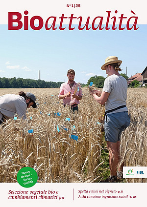 Copertina di Bioattualità 1|25: Tre persone in un campo di grano.